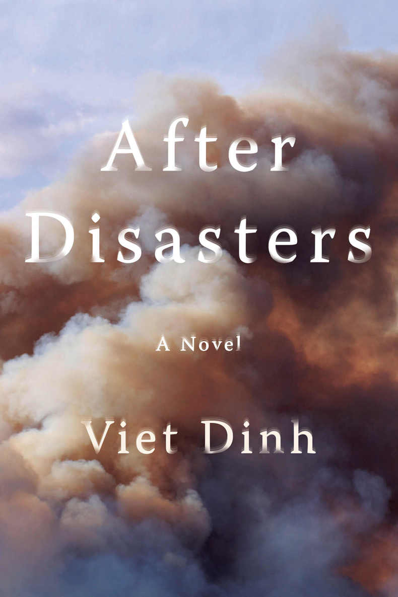 Dinh Viet - After Disasters скачать бесплатно