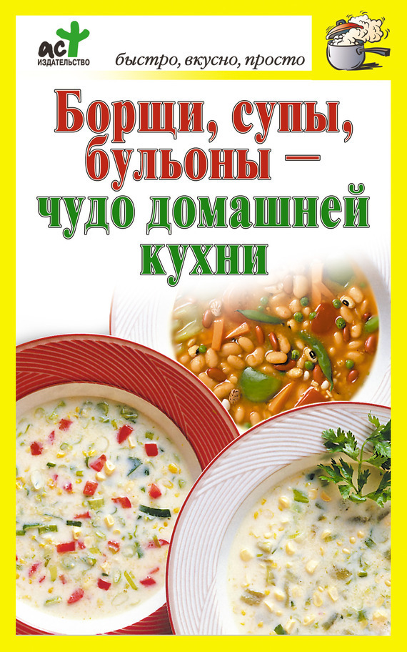 Костина Дарья - Борщи, супы, бульоны – чудо домашней кухни скачать бесплатно