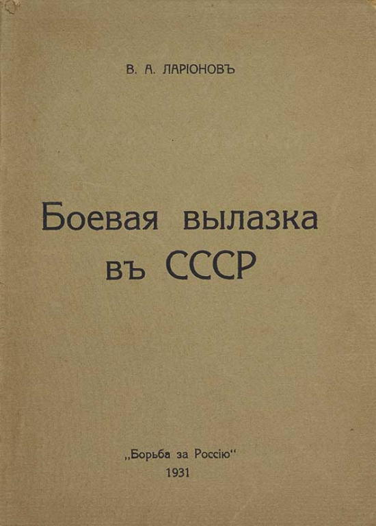 Виктор Ларионов - Боевая вылазка в СССР скачать бесплатно