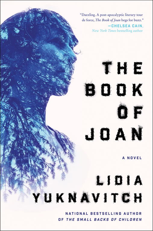 Yuknavitch Lidia - The Book of Joan скачать бесплатно