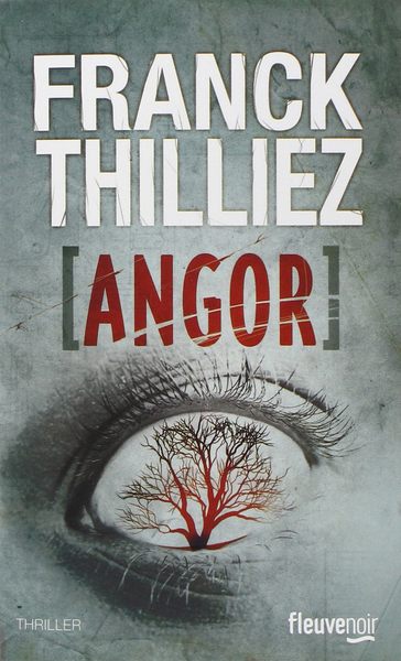 Thilliez Franck - Angor скачать бесплатно