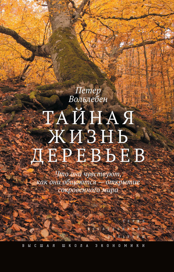 Вольлебен Петер - Тайная жизнь деревьев. Что они чувствуют, как они общаются – открытие сокровенного мира скачать бесплатно