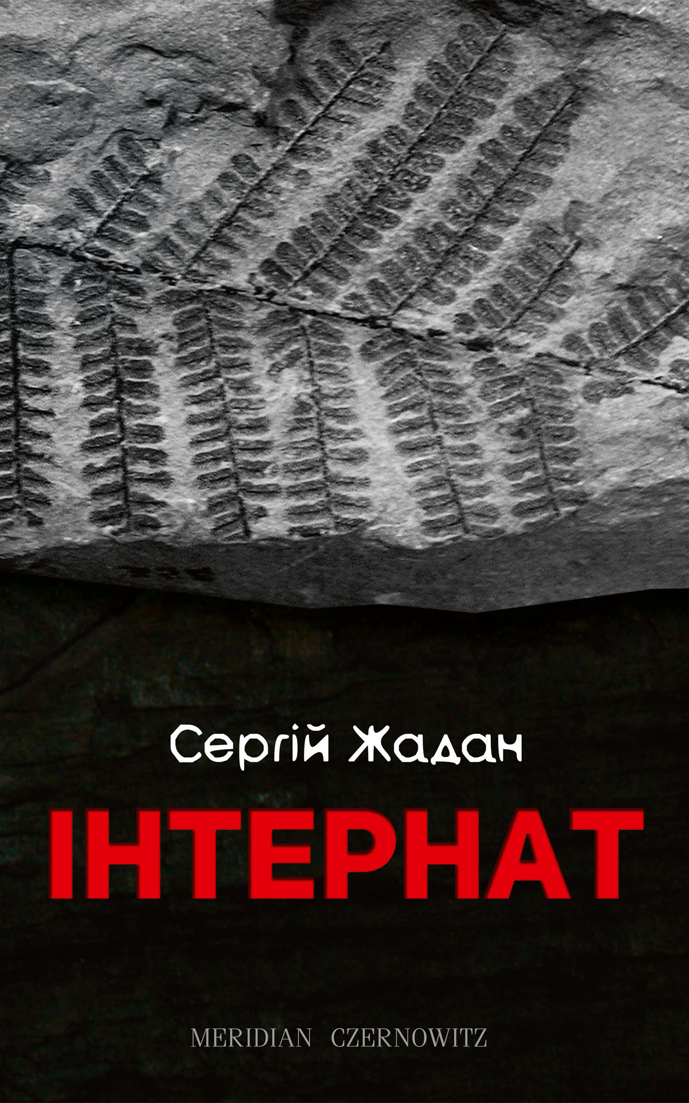 Жадан Сергій - Інтернат скачать бесплатно