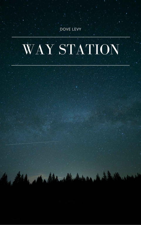 Levy Dove - Way Station скачать бесплатно