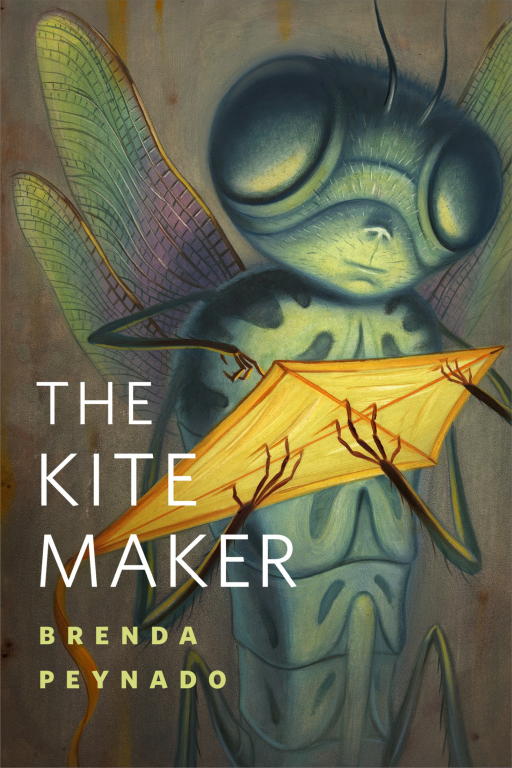 Peynado Brenda - The Kite Maker скачать бесплатно