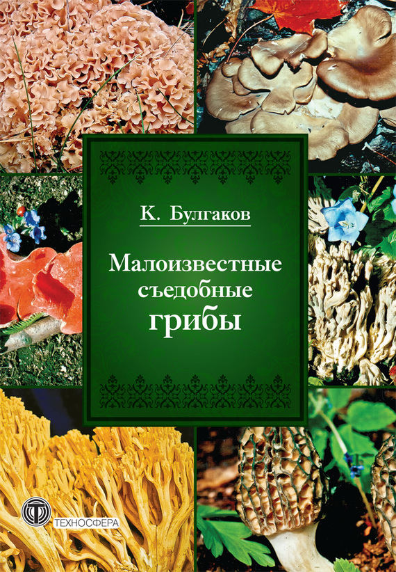 Булгаков Касим - Малоизвестные съедобные грибы скачать бесплатно