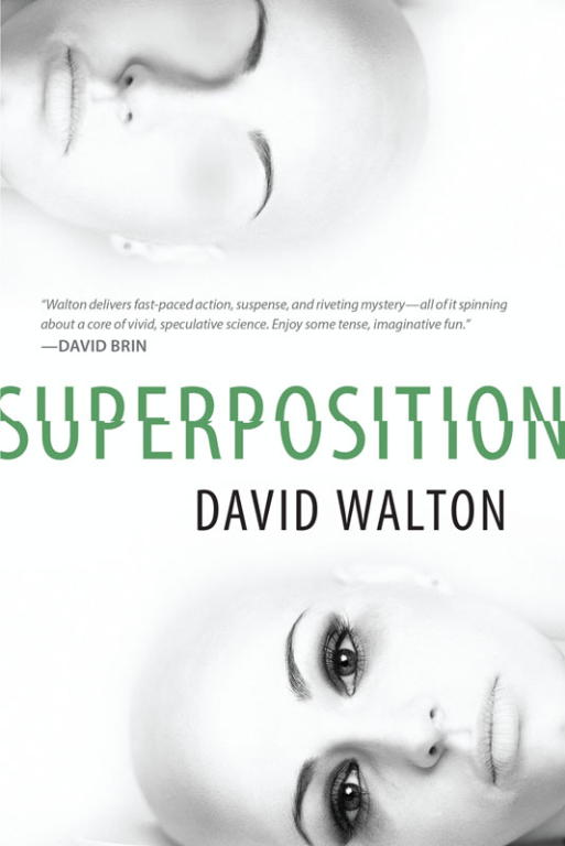 Walton David - Superposition скачать бесплатно