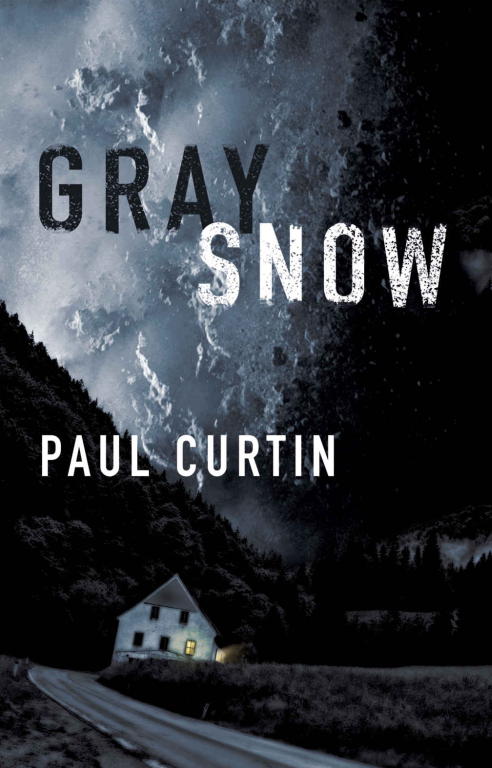 Curtin Paul - Gray Snow скачать бесплатно
