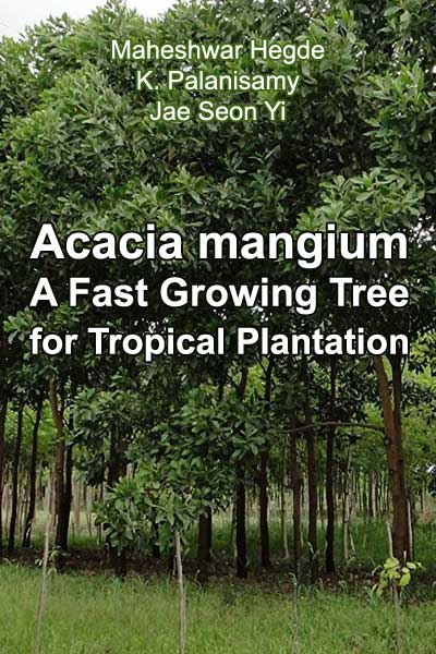Hegde Maheshwar - Acacia mangium  Willd. - A Fast Growing Tree for Tropical Plantation скачать бесплатно