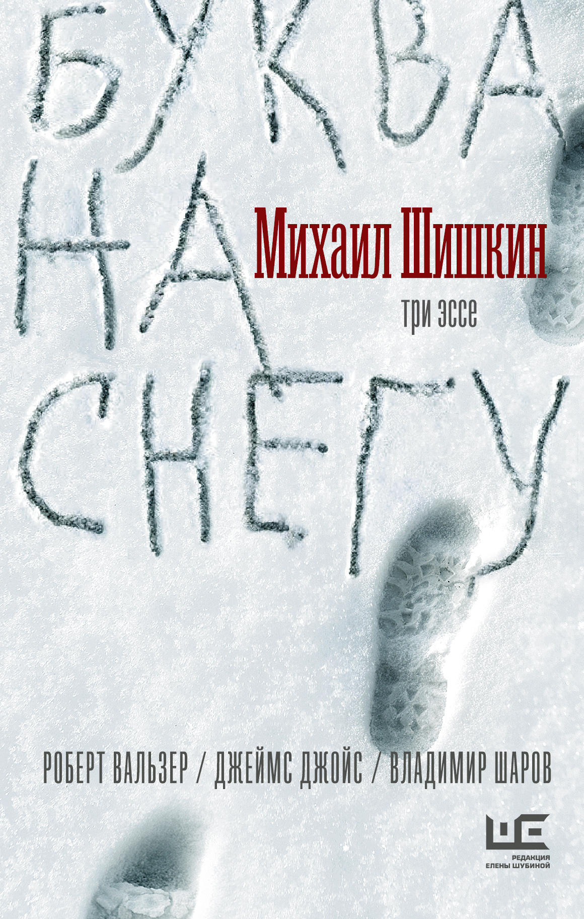Шишкин Михаил - Буква на снегу скачать бесплатно
