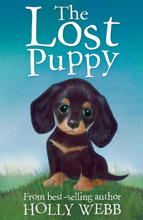 Webb Holly - The Lost Puppy скачать бесплатно