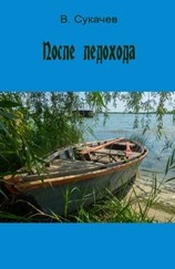 Сукачев Вячеслав - После ледохода скачать бесплатно