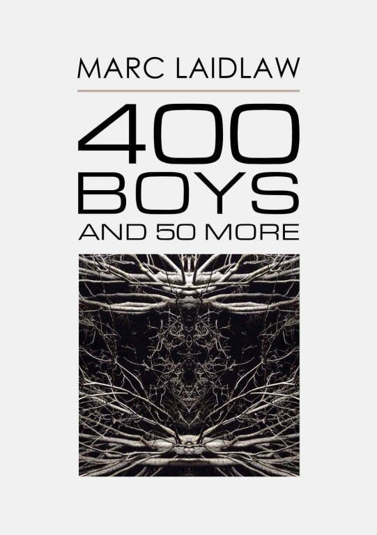 Laidlaw Marc - 400 Boys and 50 More скачать бесплатно