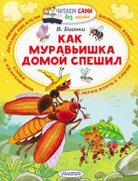 Бианки Виталий - Как муравьишка домой спешил скачать бесплатно