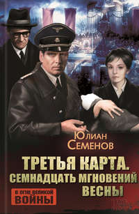 Семенов Юлиан - Третья карта (Июнь 1941) скачать бесплатно