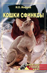Нестерова Дарья - Кошки  - сфинксы скачать бесплатно