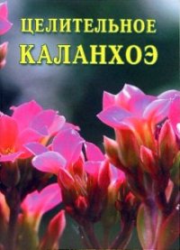 Дубровин Иван - Целительное каланхоэ скачать бесплатно