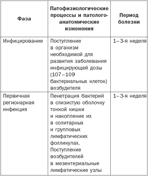 Для брюшного тифа характерен стул