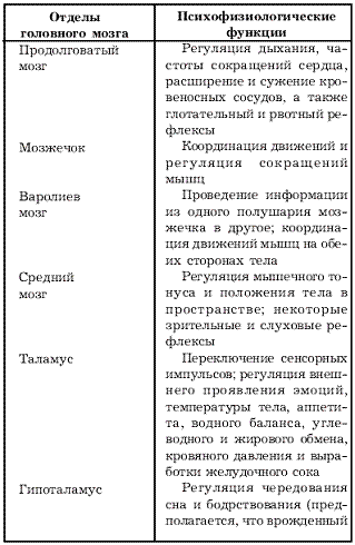 Используя обозначения рисунка заполните таблицу отделы головного мозга