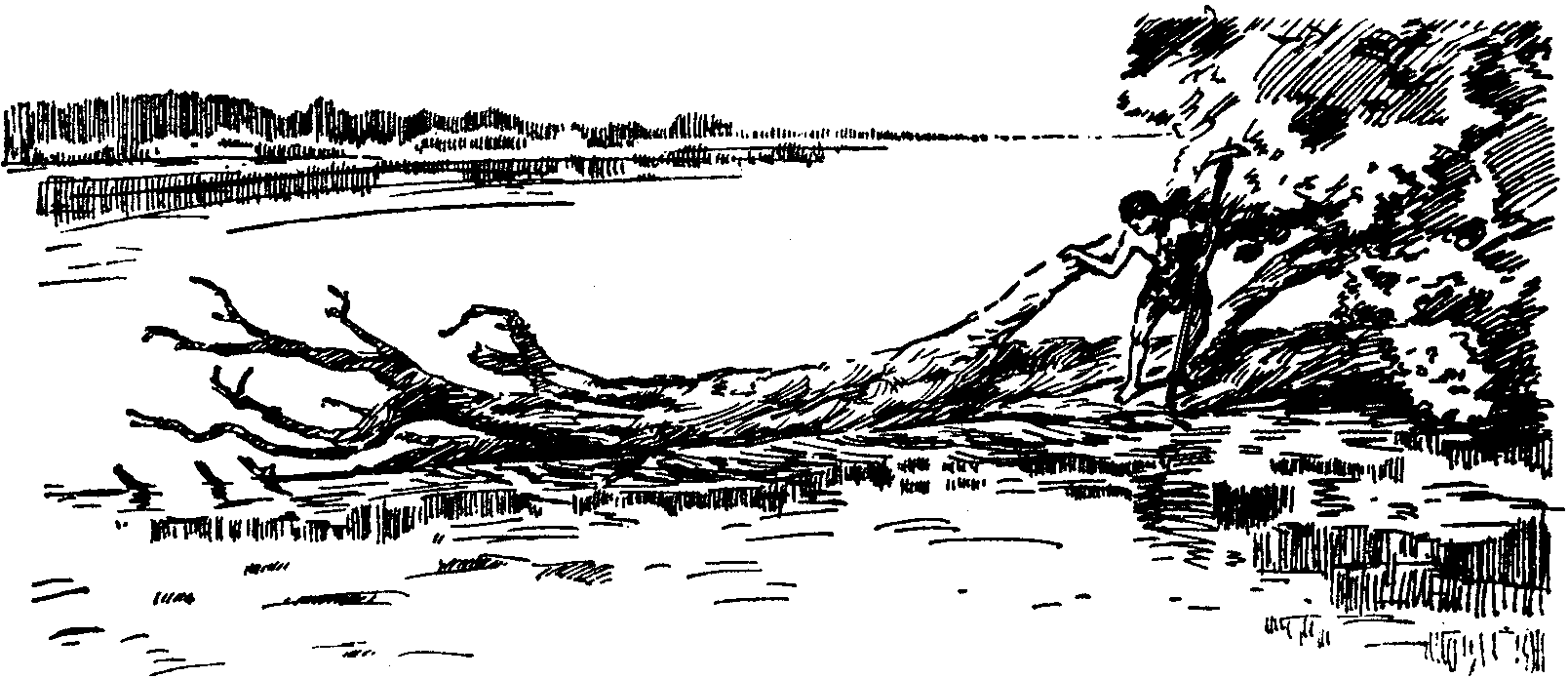 обратный путь читать