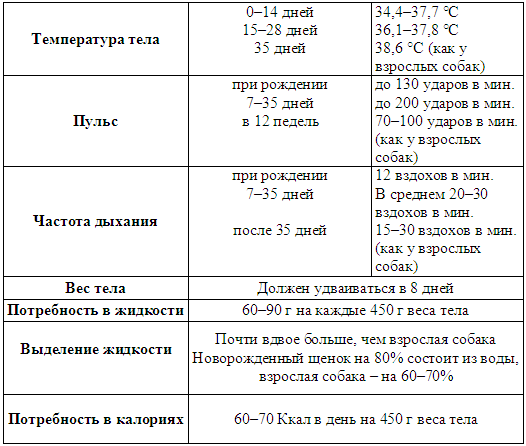 Температура до 3 месяцев. Нормальная температура щенка 2 мес. Какая нормальная температура у щенка 2 месяца. Норма температуры новорожденного щенка. Какая температура должна быть у щенка в 1 месяц.