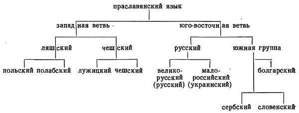 Славянские языки. Какими они бывают и чем отличаются?