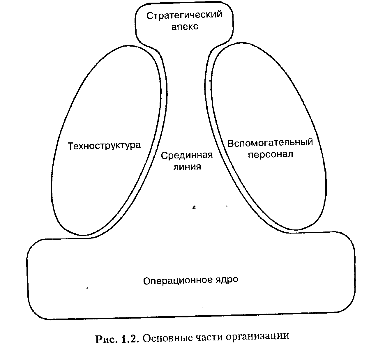 Структура в кулаке: создание эффективной организации - Минцберг Генри ::  Режим чтения