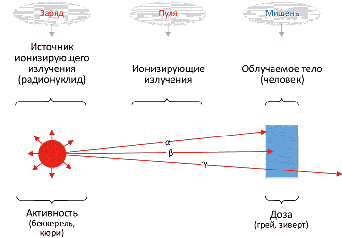 Ионизация ионизирующим излучением. Схема ионизирующего излучения. Ионизирующее излучение Альфа бета гамма. Виды ионизирующего излучения схема. Ионизирующее излучение воздействие схема.