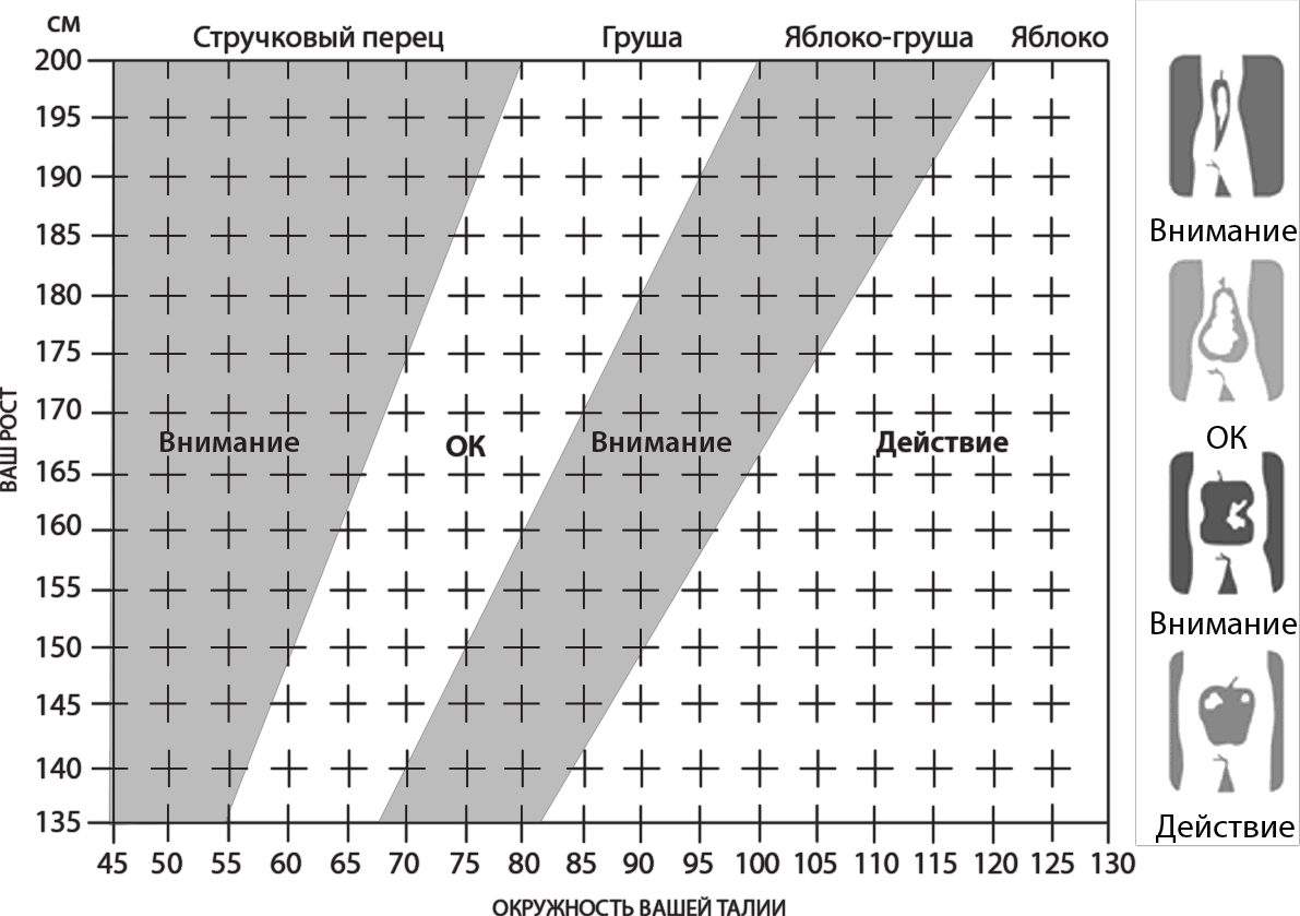 Талия и рост таблица. Соотношение талии к росту. Таблица отношения массы к росту. Соотношение окружности талии к росту. Талия и рост соотношение у женщин норма.
