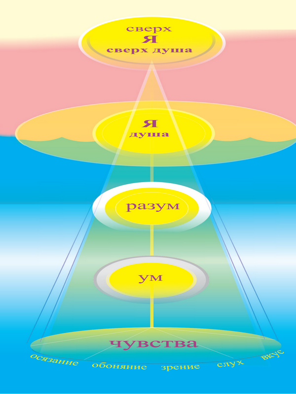 Структура души человека. Разум интеллект ум. Ум разум ложное эго. Тело ум душа.