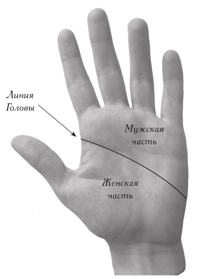 женские и мужские руки