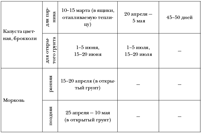 Схема посева семян свеклы в открытый грунт