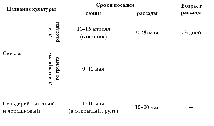 Схема посадки свеклы на грядке рассадой