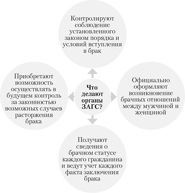 Структура загса схема