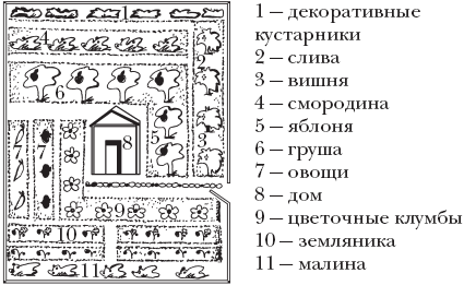 Схема посадки плодово ягодных культур на участке