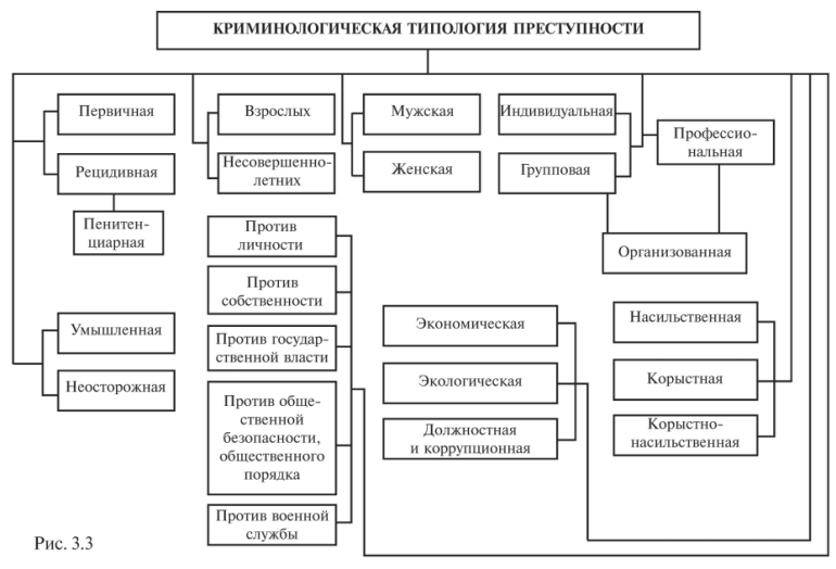 Составление и содержание планов криминология