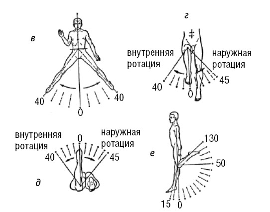 Амплитуда движений человека. Ротационные движения в тазобедренном суставе. Наружная ротация в тазобедренном суставе. Внутренняя и наружная ротация в тазобедренном суставе. Внутренняя ротация тазобедренного сустава.