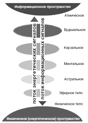 Схема трех кругов ксения меньшикова