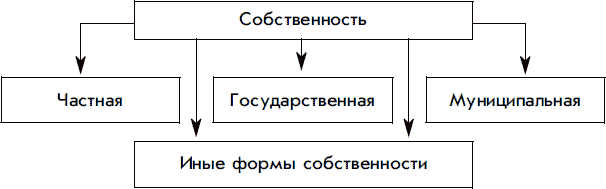 Изобразите материал о видах имущества в виде сложной схемы обществознание 8 класс