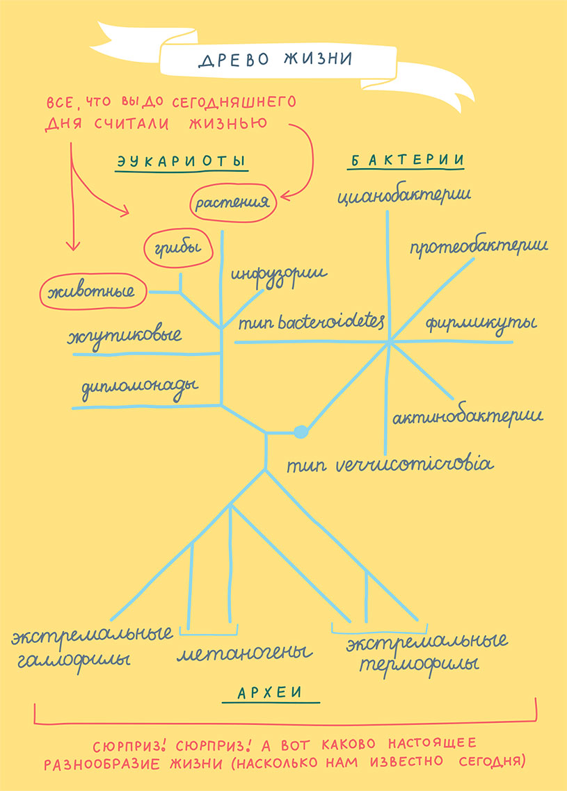 Смотри, что у тебя внутри. Как микробы, живущие в нашем теле, определяют  наше здоровье и нашу личность - Найт Роб :: Режим чтения