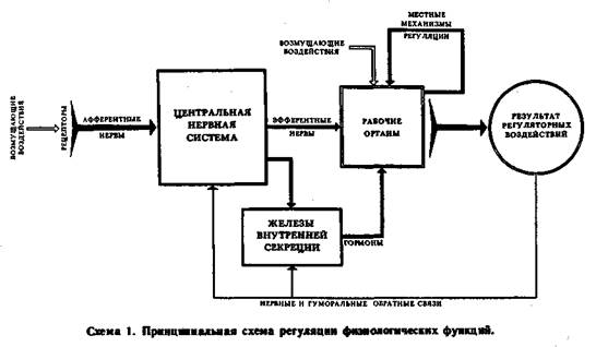 Схема механизмов регуляции информационного стресса