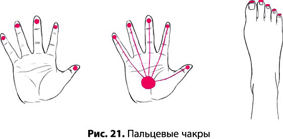 Биоэнергетика: принципы, использование, перспективы развития