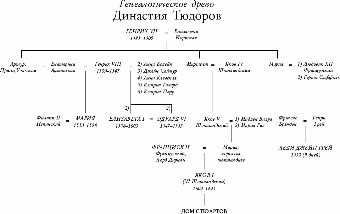 Династия Тюдоров генеалогическое Древо. Династия Тюдоров родословная. Династия Тюдоров таблица. Генеалогическое Древо английских королей династии Тюдоров.