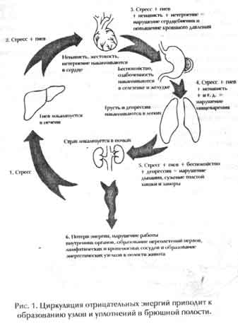 Друзья и соратники школы Белый Ключ