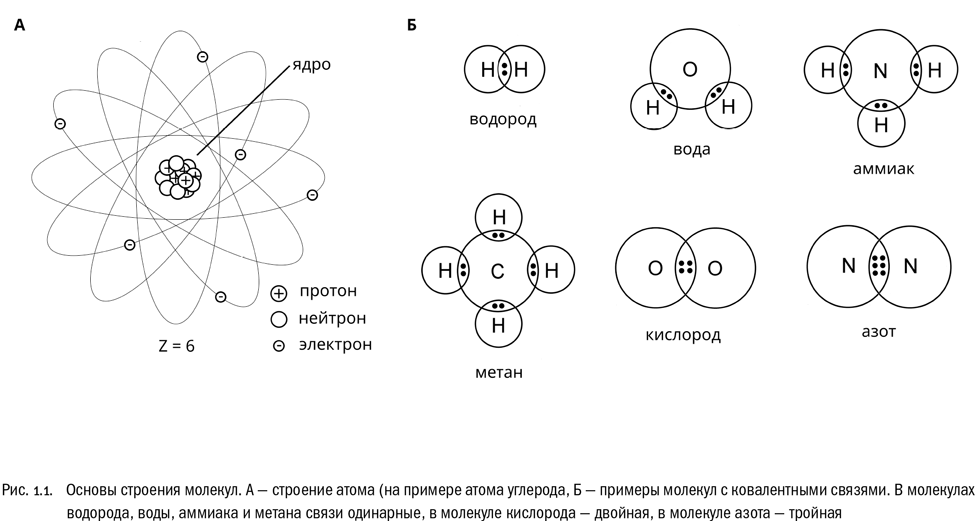 Схема электронного строения атомов водорода