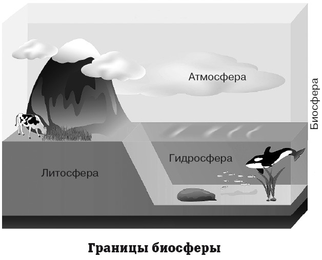 Карта географическая оболочка земли