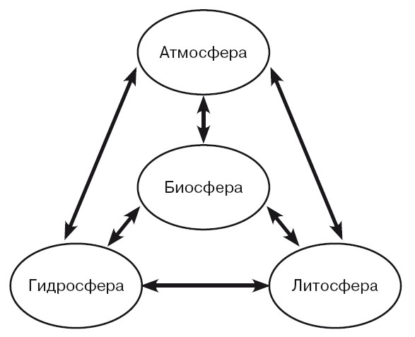 Рисунок биосферы 6 класс география