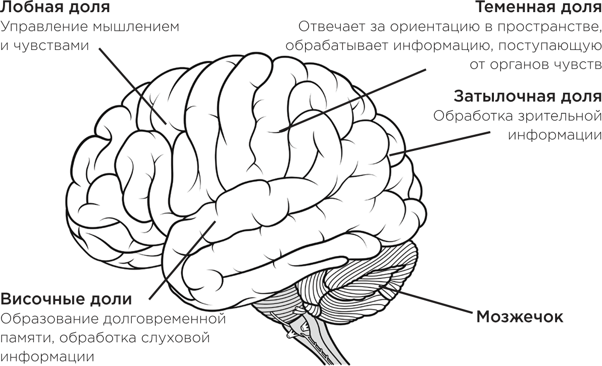 Забывчивость – мое второе… что-то там. Как вернуть то, что постоянно  вылетает из головы - Цукияма Такаси :: Режим чтения