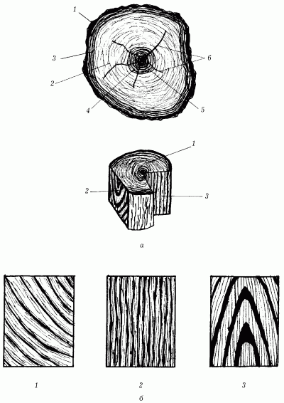 Рисунок образованный годичными кольцами называется а эскиз б текстура в пиломатериал